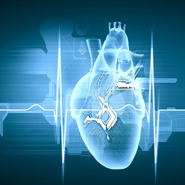 Hartklep kan in een kloppend hart d.m.v. een nieuwe methode vervangen worden